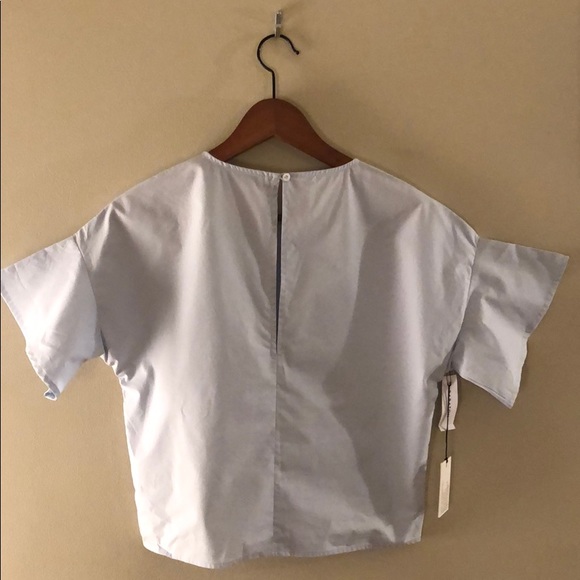 Aritzia Babaton Esben short sleeve blouse - Picture 6 of 9
